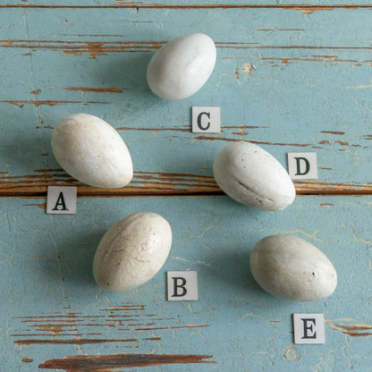 Antique Broody Eggs
