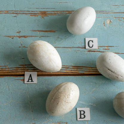 Antique Broody Eggs