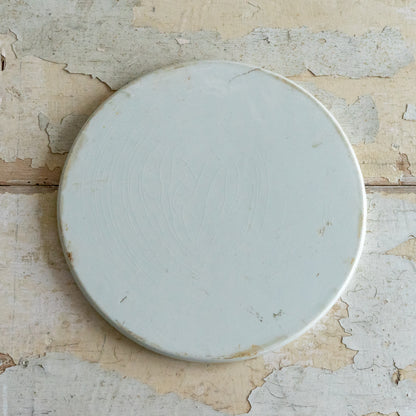 Antique Ironstone Scale Plate