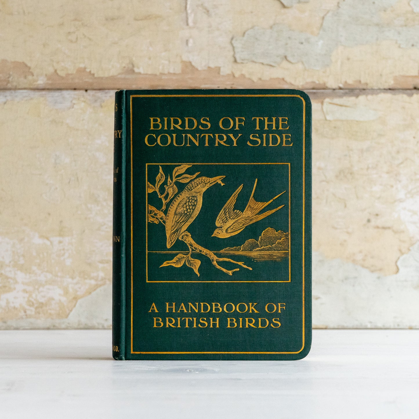 Birds of the Country Side Book