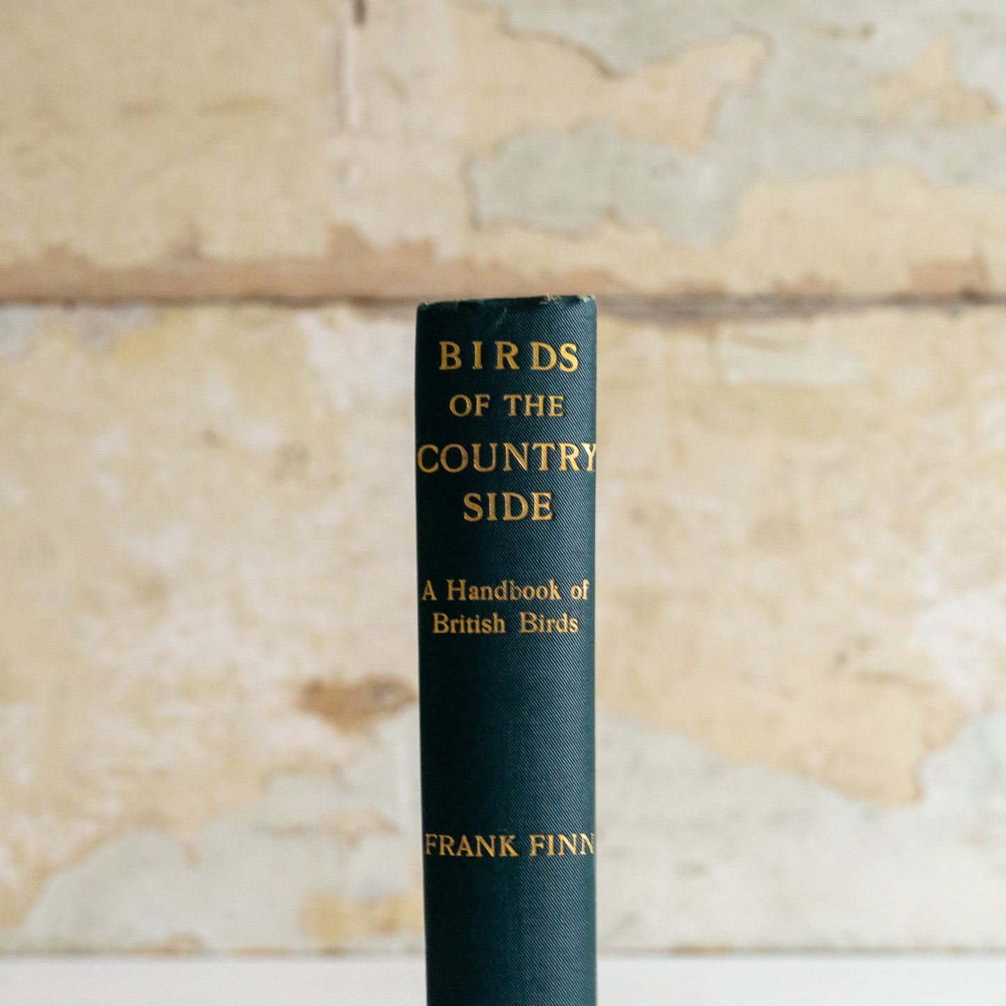 Birds of the Country Side Book