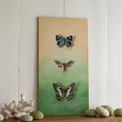 Butterfly Oil on Board Painting