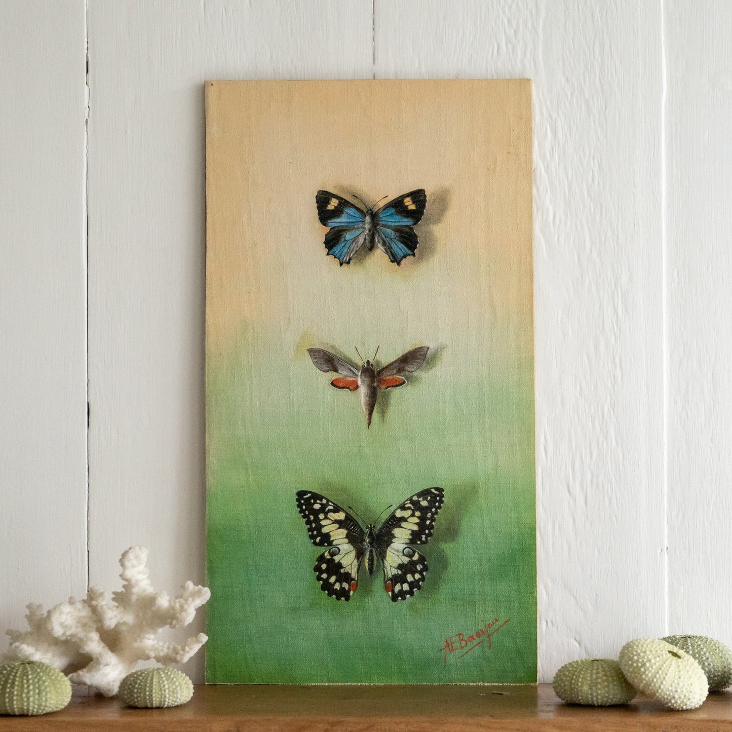 Butterfly Oil on Board Painting