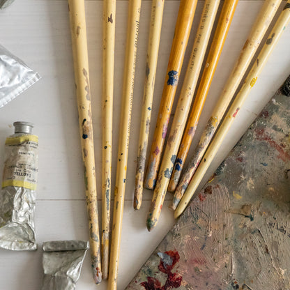 Collection of Paint Brushes