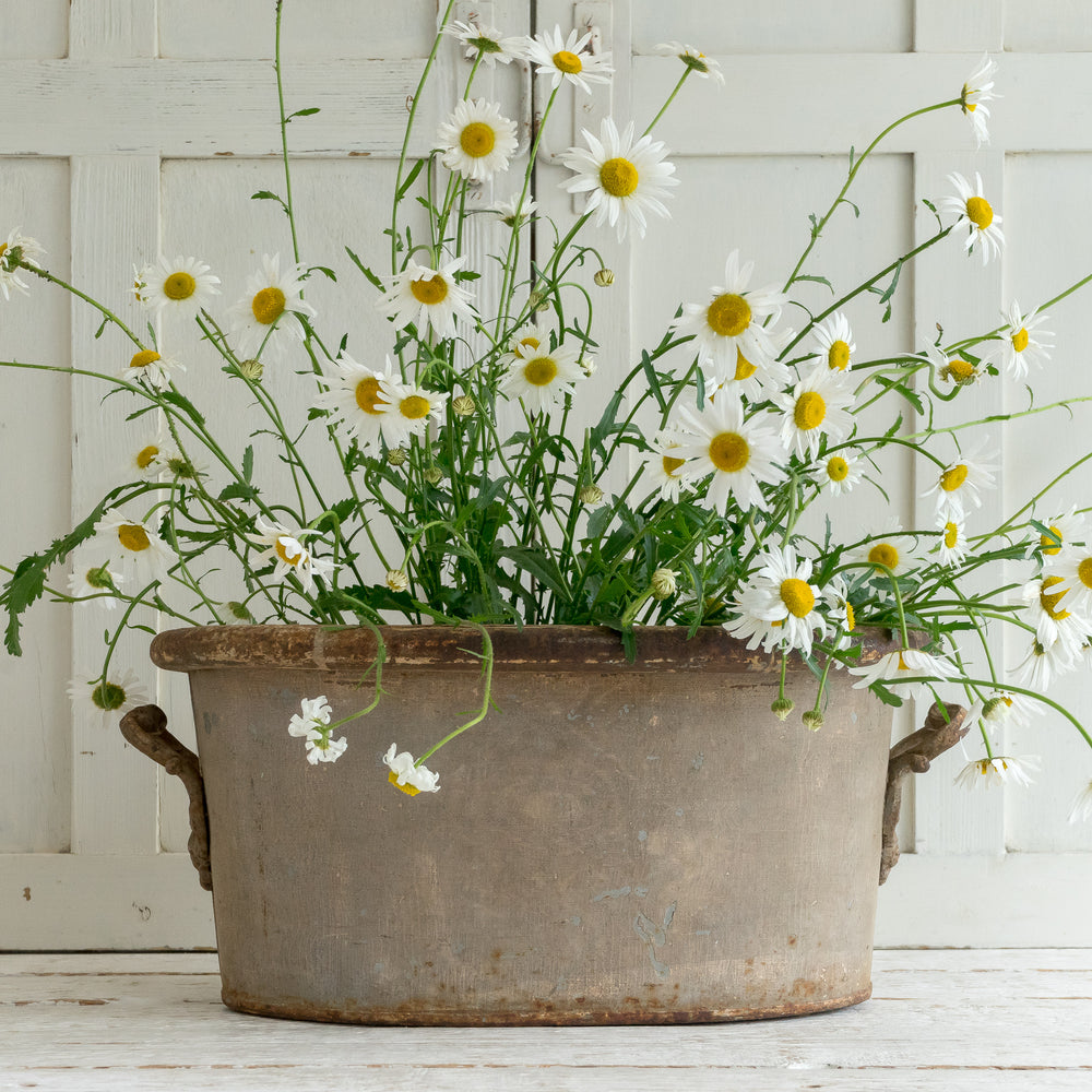 DECORATIVE ANTIQUE TOLEWARE TUB