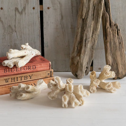 Decorative Natural Coral Specimen