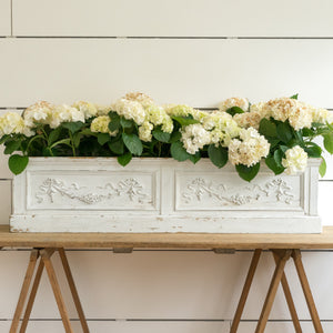 
            
                Load image into Gallery viewer, DECORATIVE ORIGINAL PAINTED WOODEN TROUGH PLANTER
            
        