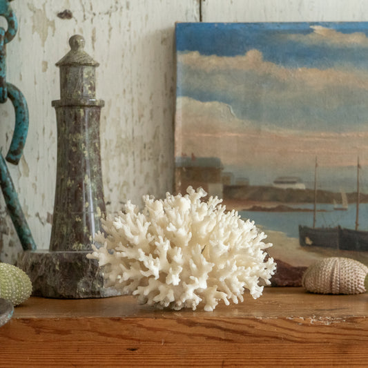 Delicate Little Natural Coral Specimen