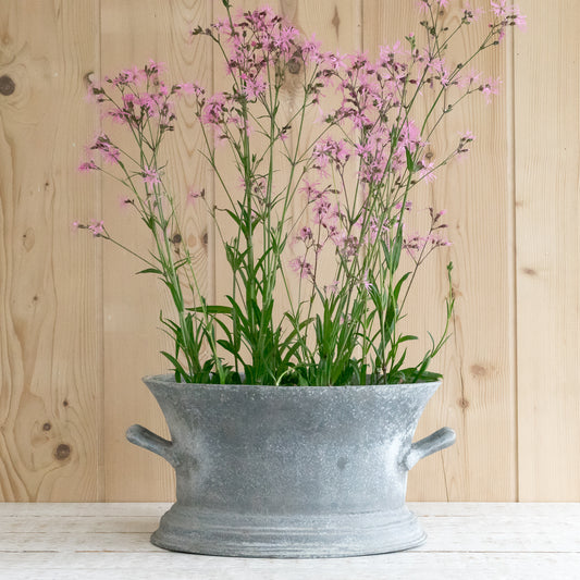 Fabulous Large Zinc Planter