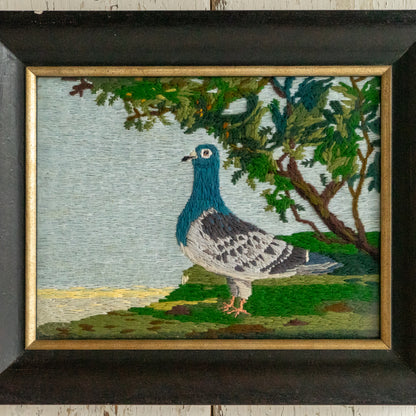 Framed Embroidery of a Pigeon