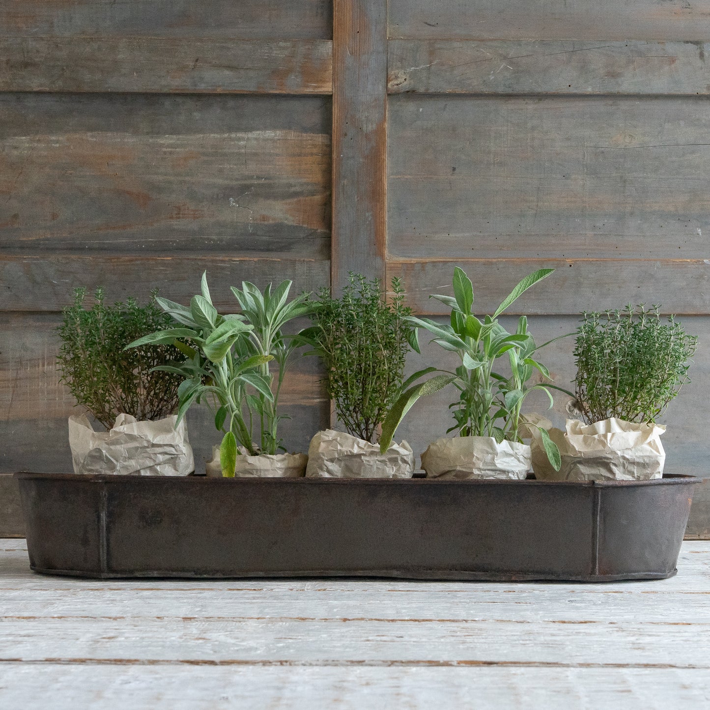 LARGE RUSTIC OBLONG CAKE TIN