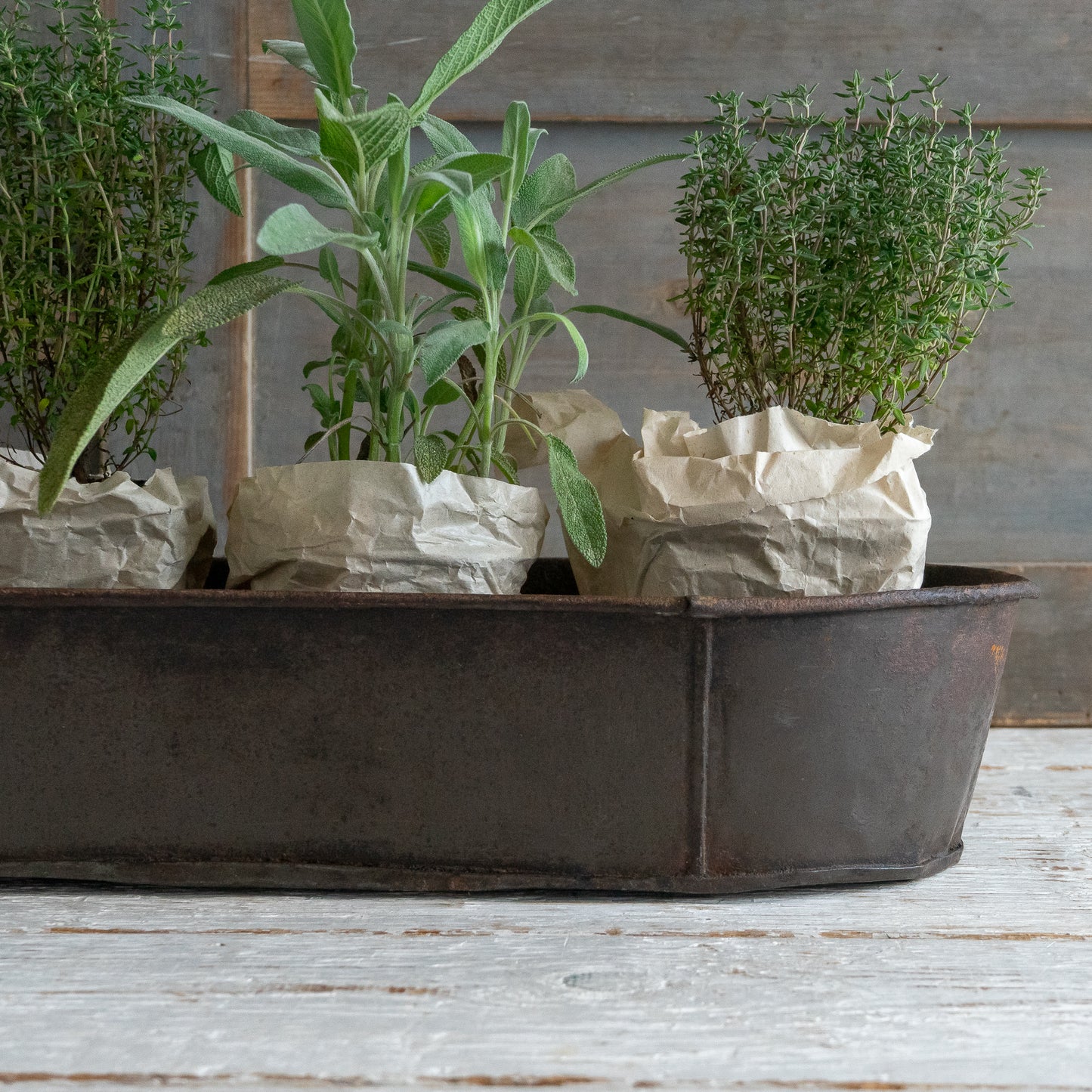 LARGE RUSTIC OBLONG CAKE TIN