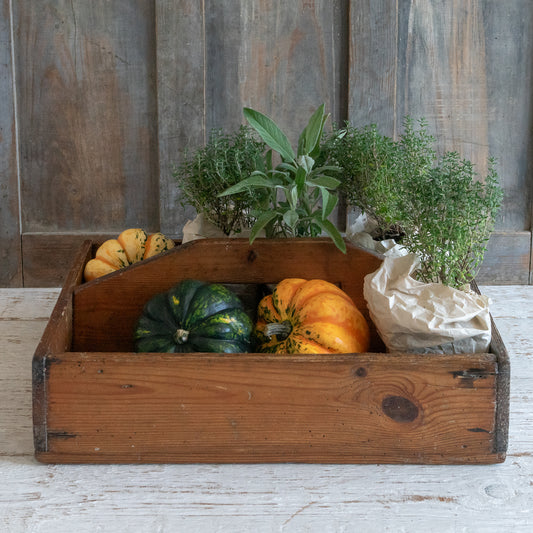 Large Rustic Wooden Caddy