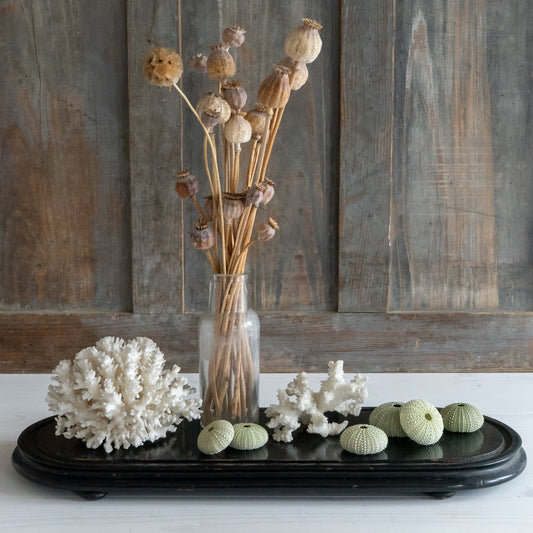 Large Vintage Ebonised Oblong  Dome Base Stand