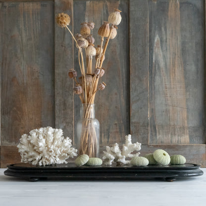 Large Vintage Ebonised Oblong  Dome Base Stand