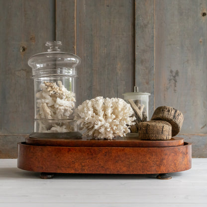 Large Vintage Walnut Oval Dome Base