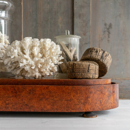Large Vintage Walnut Oval Dome Base