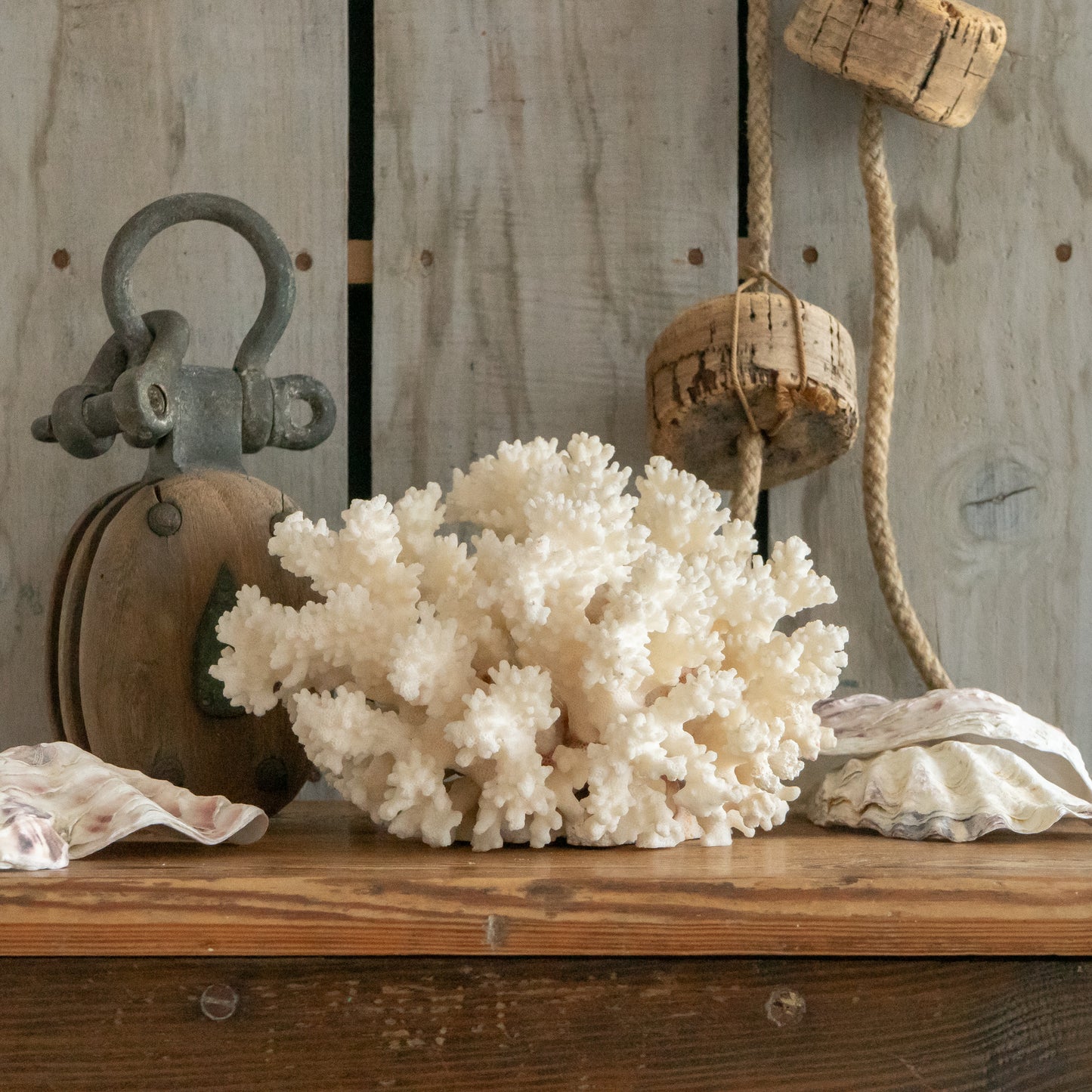 Large White Natural Coral Specimen