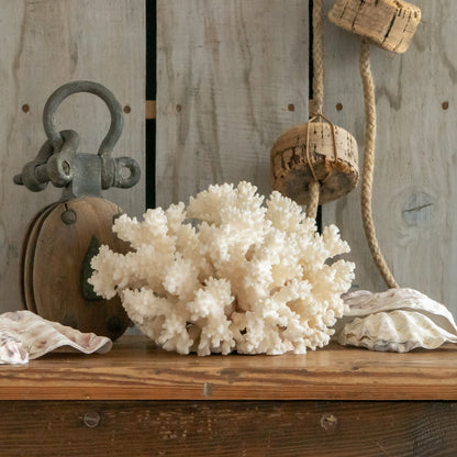 Large White Natural Coral Specimen