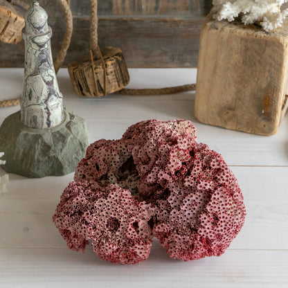 Natural Red Pipe Organ Coral Specimen