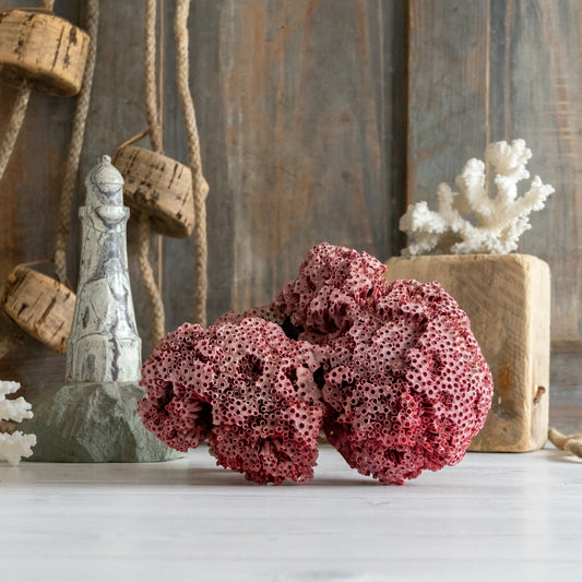 Natural Red Pipe Organ Coral Specimen