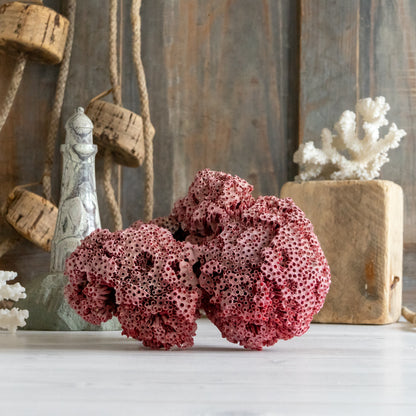 Natural Red Pipe Organ Coral Specimen