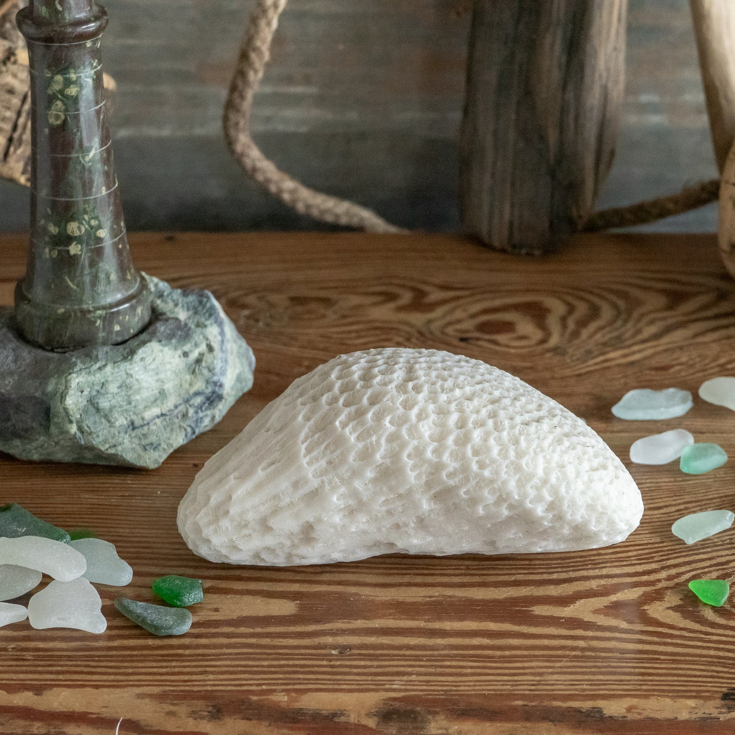 Natural Brain Coral Specimen