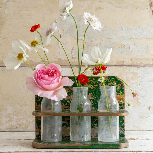 Original Painted Bottle Rack