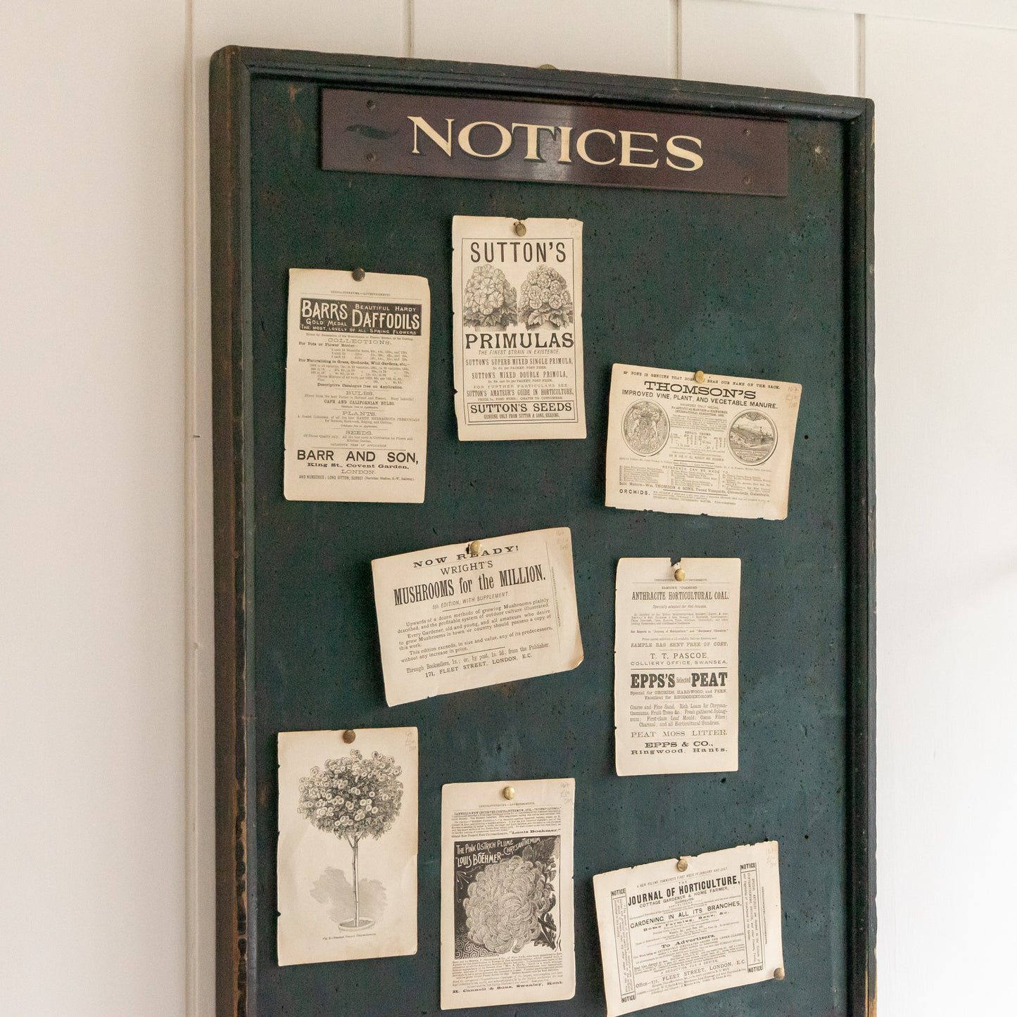 Original Vintage NOTICES Board