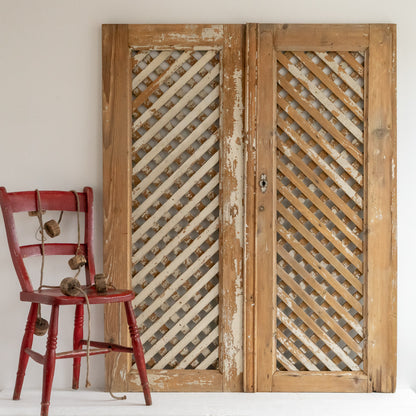 Pair of Decorative Painted Cupboard Doors