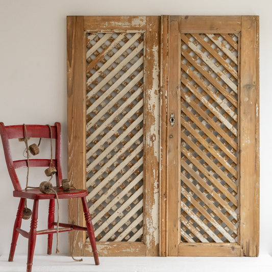 Pair of Decorative Painted Cupboard Doors