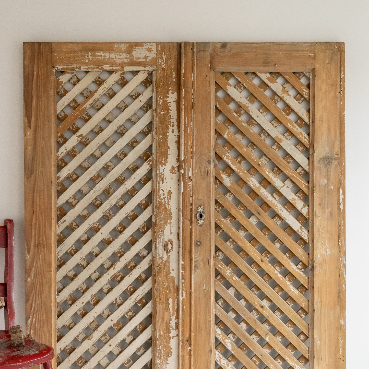 Pair of Decorative Painted Cupboard Doors