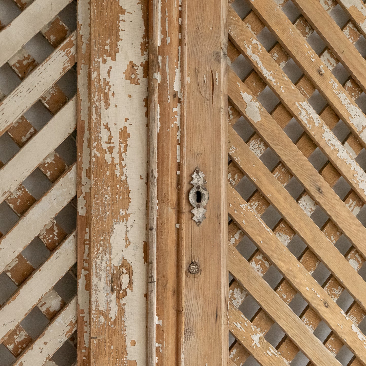 Pair of Decorative Painted Cupboard Doors