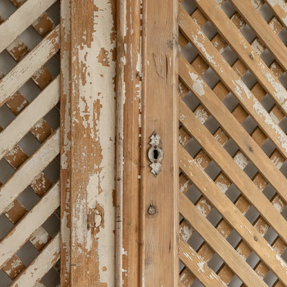 Pair of Decorative Painted Cupboard Doors