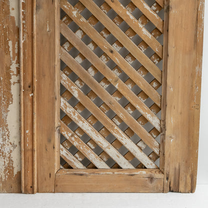 Pair of Decorative Painted Cupboard Doors