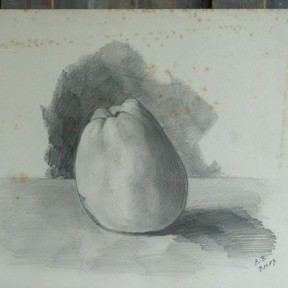 Pencil Drawing of a Large Apple