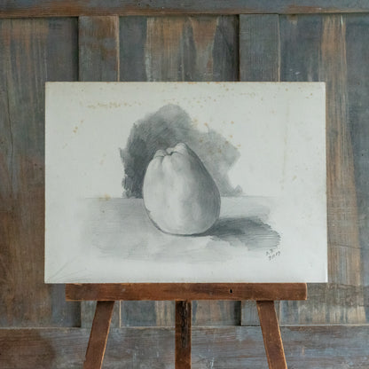 Pencil Drawing of a Large Apple