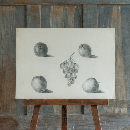 Pencil Drawing of Apples and Grapes