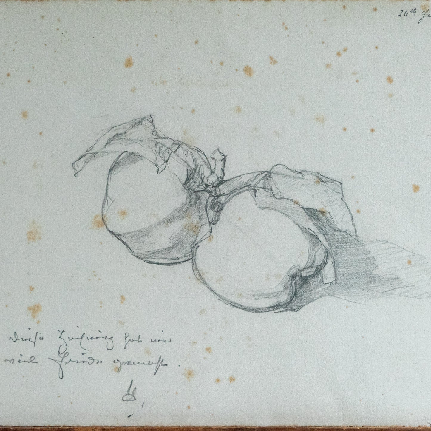 Pencil Drawing of Two Apples