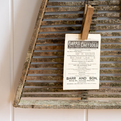 Rustic French Fruit Drying Rack