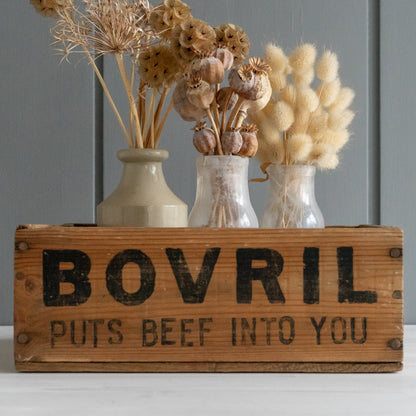 Rustic BOVRIL Bottle Box