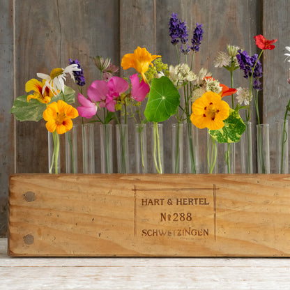 Rustic Cigar Press Flower Vase