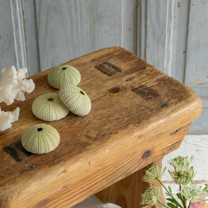 Rustic English Pine Stool