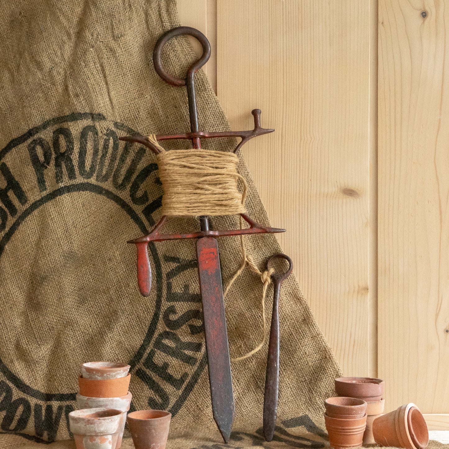 Rustic Metal Garden Line #2