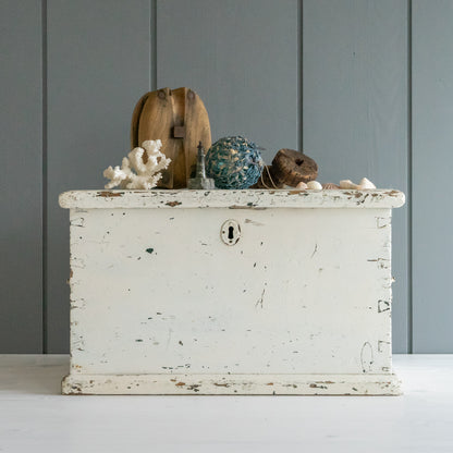 Rustic Original White Painted Trunk