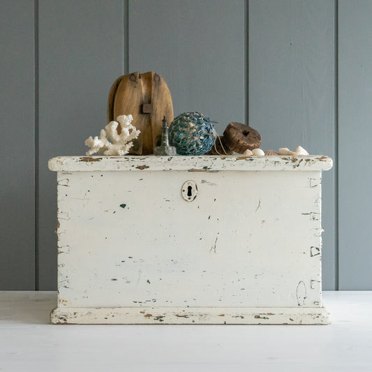 Rustic Original White Painted Trunk