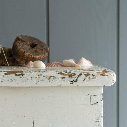 Rustic Original White Painted Trunk