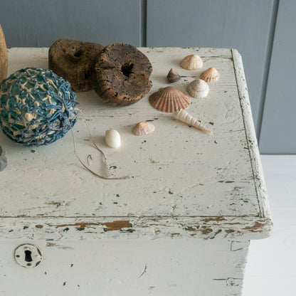 Rustic Original White Painted Trunk