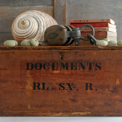 Rustic Pine Document Trunk