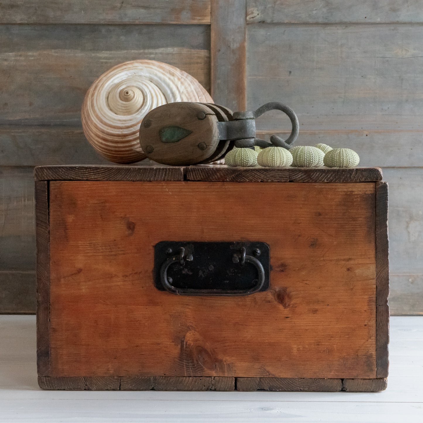Rustic Pine Document Trunk